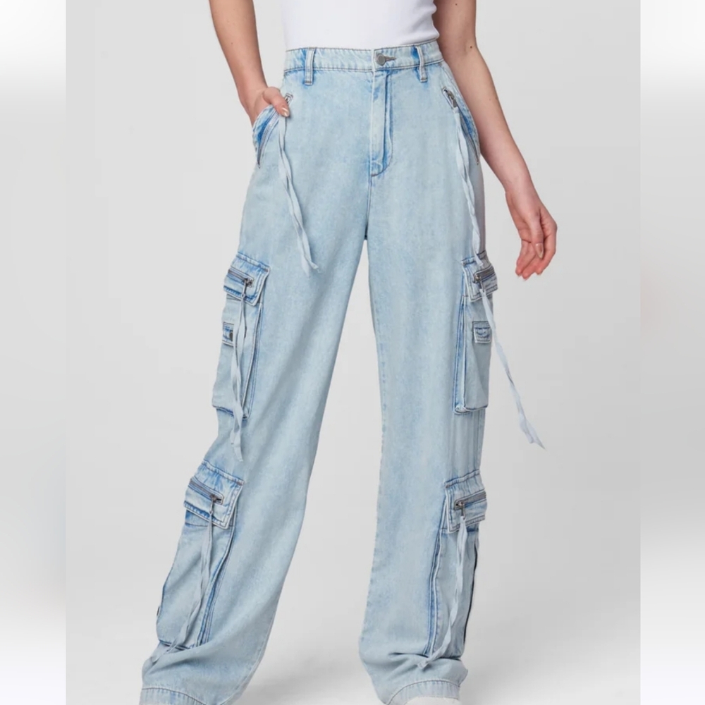 NWT! Blanknyc "The Franklin" Jean 25